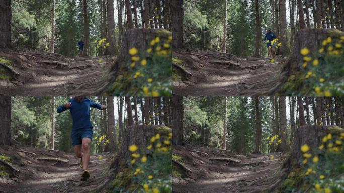 人在森林里奔跑活力越野孤独慢跑森林锻炼