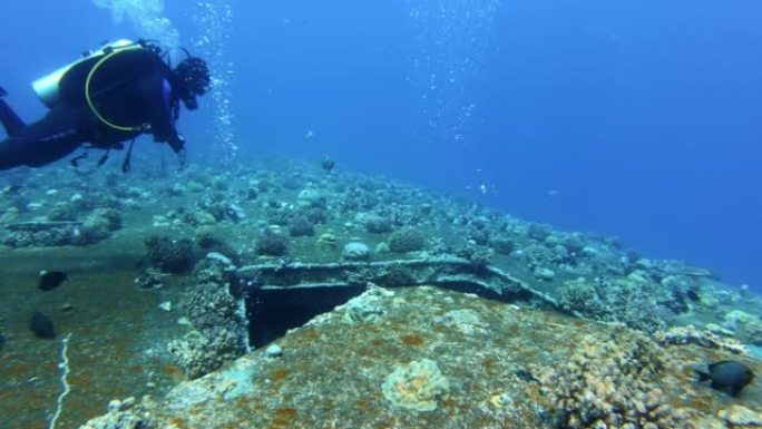 探索红海著名的潜水点。潜水员进入塞勒姆快车沉船
