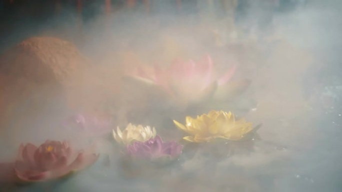 雾中的莲花