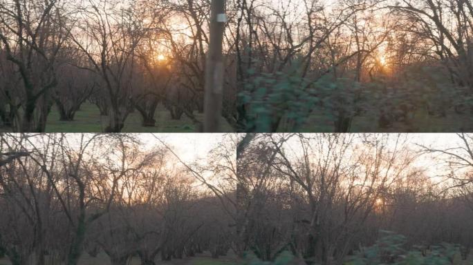 从窗户看汽车乘客侧窗窗外阳光