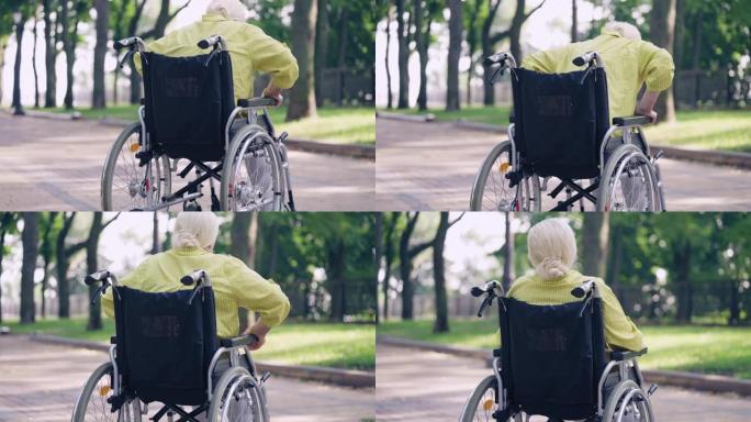虚弱的高级女士试图独自在公园里从轮椅上站起来，缺乏支持