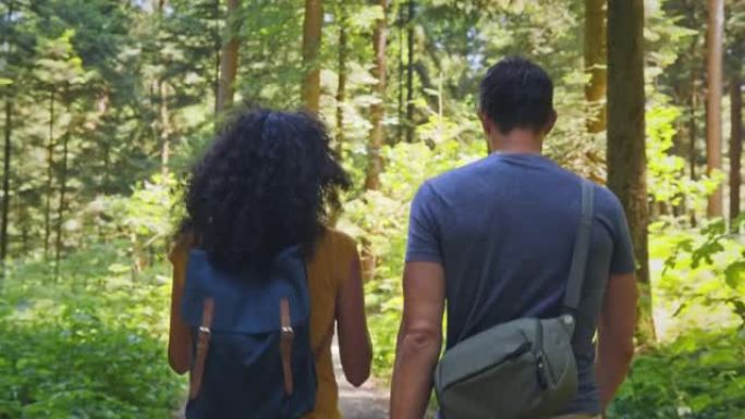 TS夫妇在森林里散步聊天