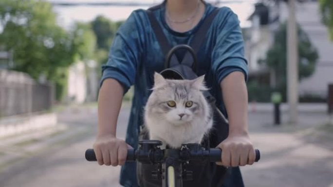 女人背包里的猫在街上骑踏板车