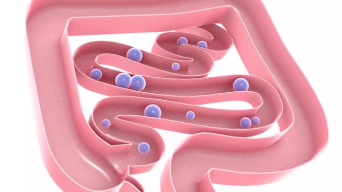 气体通过大肠和小肠的3d动画。