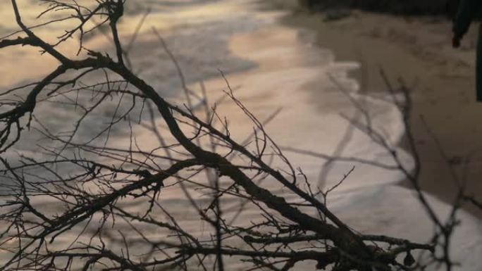 严酷干燥的裸露树枝被海浪冲刷在沙滩海岸线上，孤独的女人在背景上行走。抽象抑郁、内心感受和痛苦的概念镜