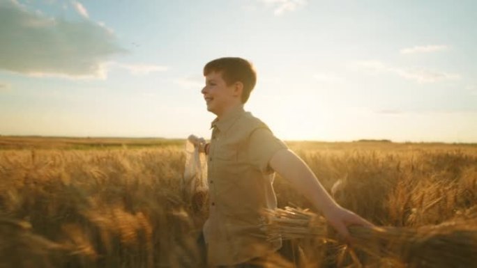开朗的胖乎乎的小学生在金色的麦田里奔跑，背着耳朵和带面包的细绳袋