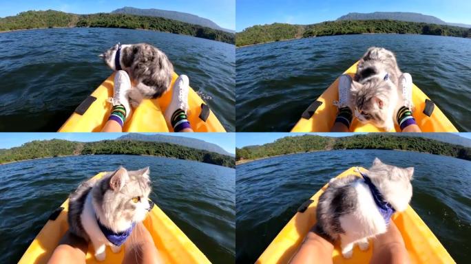 湖上单人皮艇弓上的猫