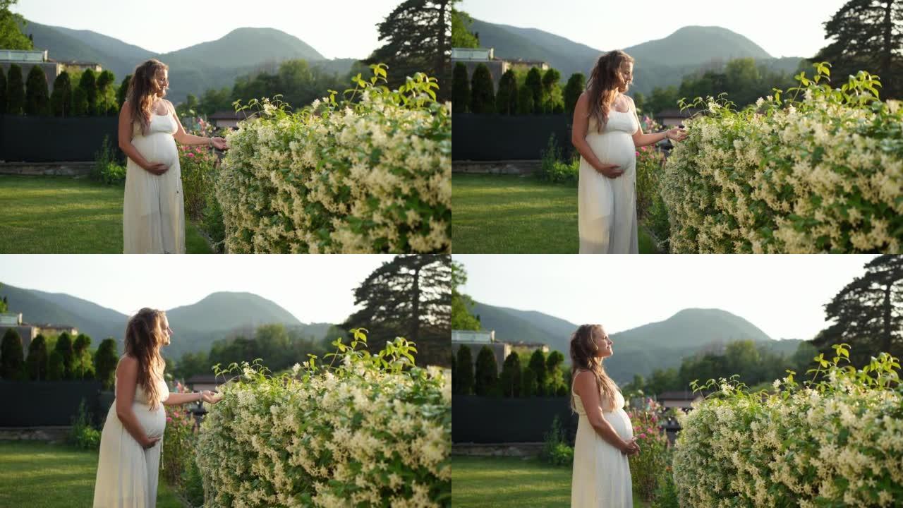 穿着白色连衣裙的孕妇站在花丛中的花园里，抱着肚子，看着风景