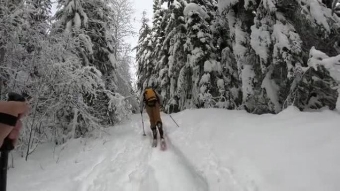 在白雪皑皑的森林中滑雪时的第一人称视角