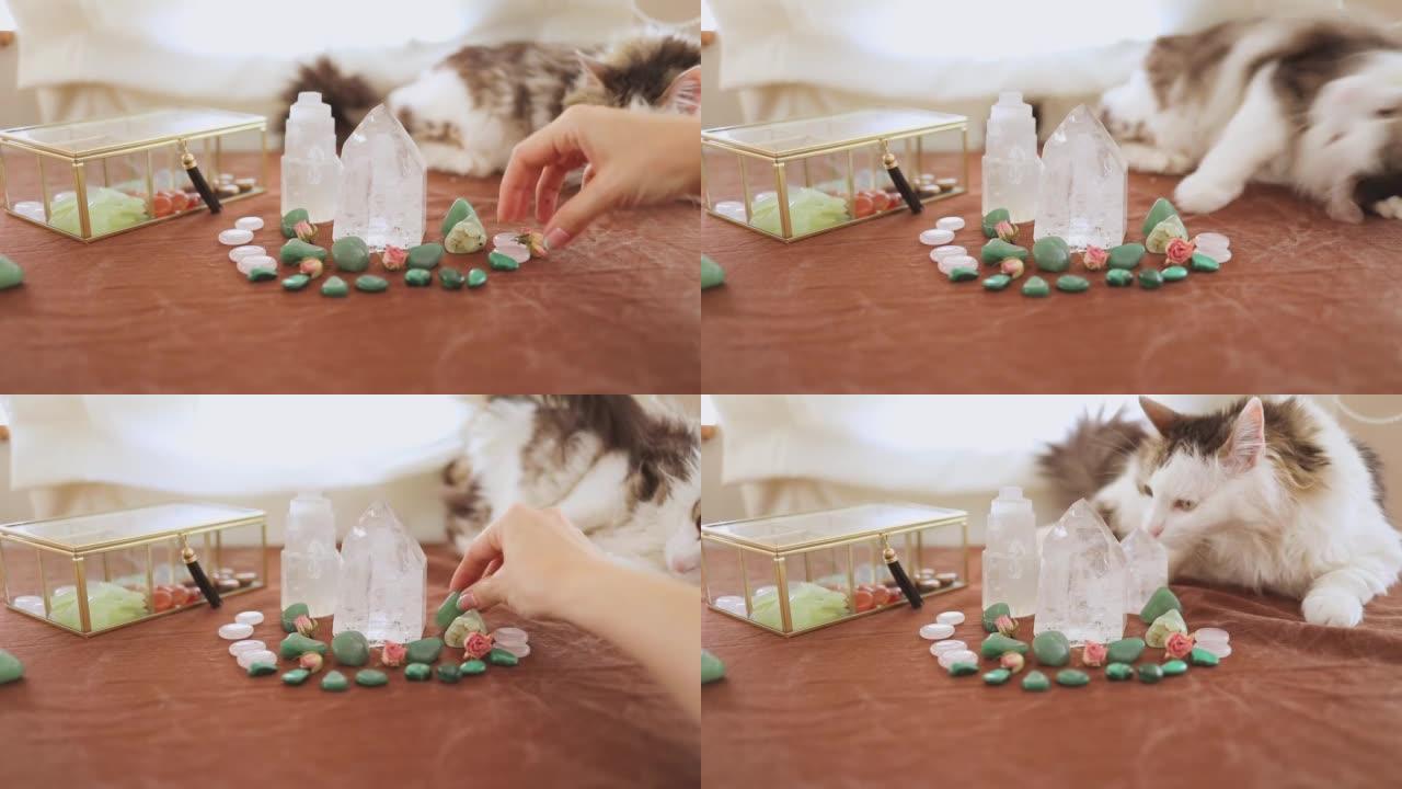 一个女人放她的宝石，而她的猫与它们玩耍