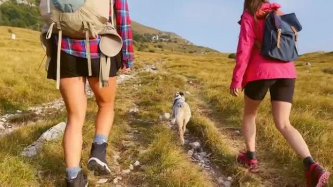 TS狗与两名女性徒步旅行者一起在山间小径上行走