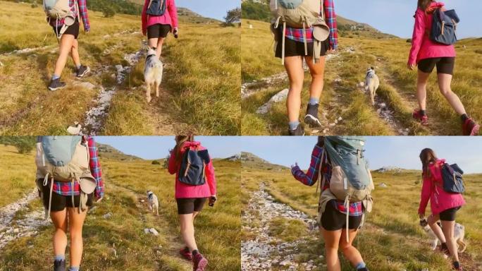 TS狗与两名女性徒步旅行者一起在山间小径上行走