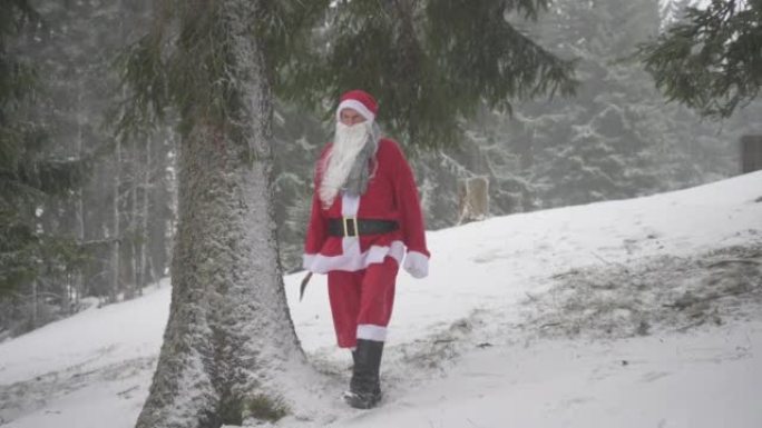 男子打扮成圣诞老人，背着斧头穿过森林