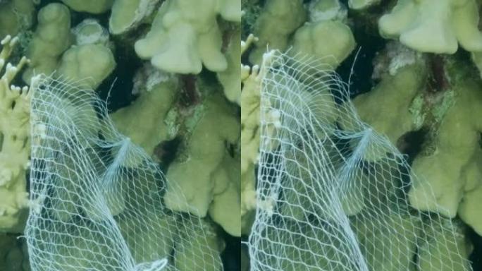 垂直视频: 废弃的厨房塑料存储网购物垂下的珊瑚礁。海洋的塑料污染。塑料网袋挂在美丽的珊瑚礁上。慢动作