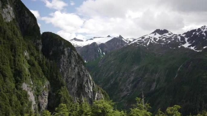 郁郁葱葱的森林和山脉的景色