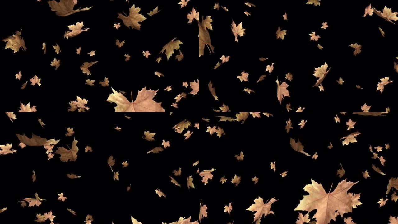 秋天落叶与透明 (阿尔法) 背景