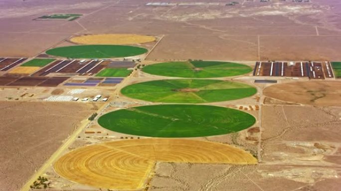 美国内华达州沙漠中的空中绿色和黄色麦田怪圈