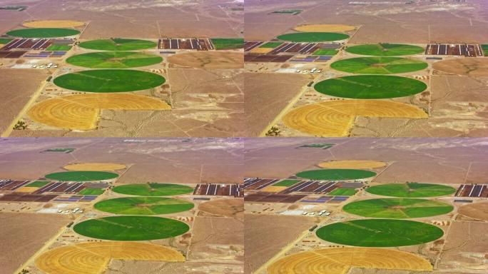 美国内华达州沙漠中的空中绿色和黄色麦田怪圈
