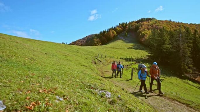 CS四名徒步旅行者沿着阳光明媚的牧场沿着山路行走