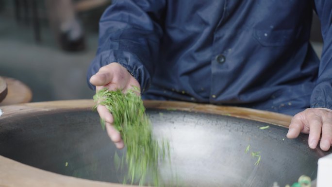 炒茶 西湖龙井茶传统炒茶工艺