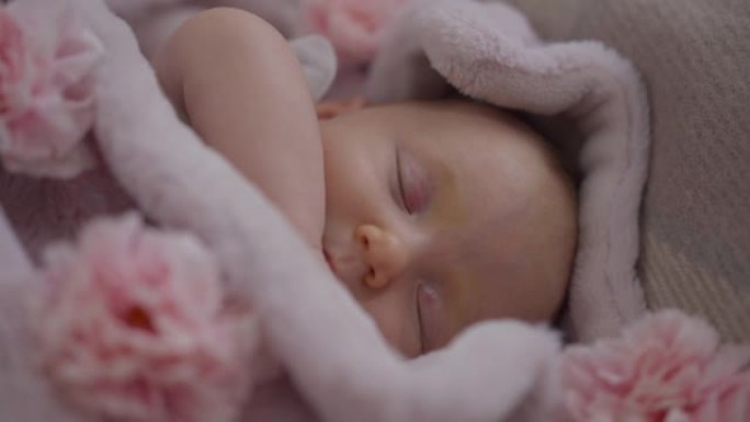 特写俯视图躺在粉红色花朵舒适的床上睡觉的女婴。可爱的高加索婴儿，闭着眼睛梦想着在家室内享受无忧无虑的
