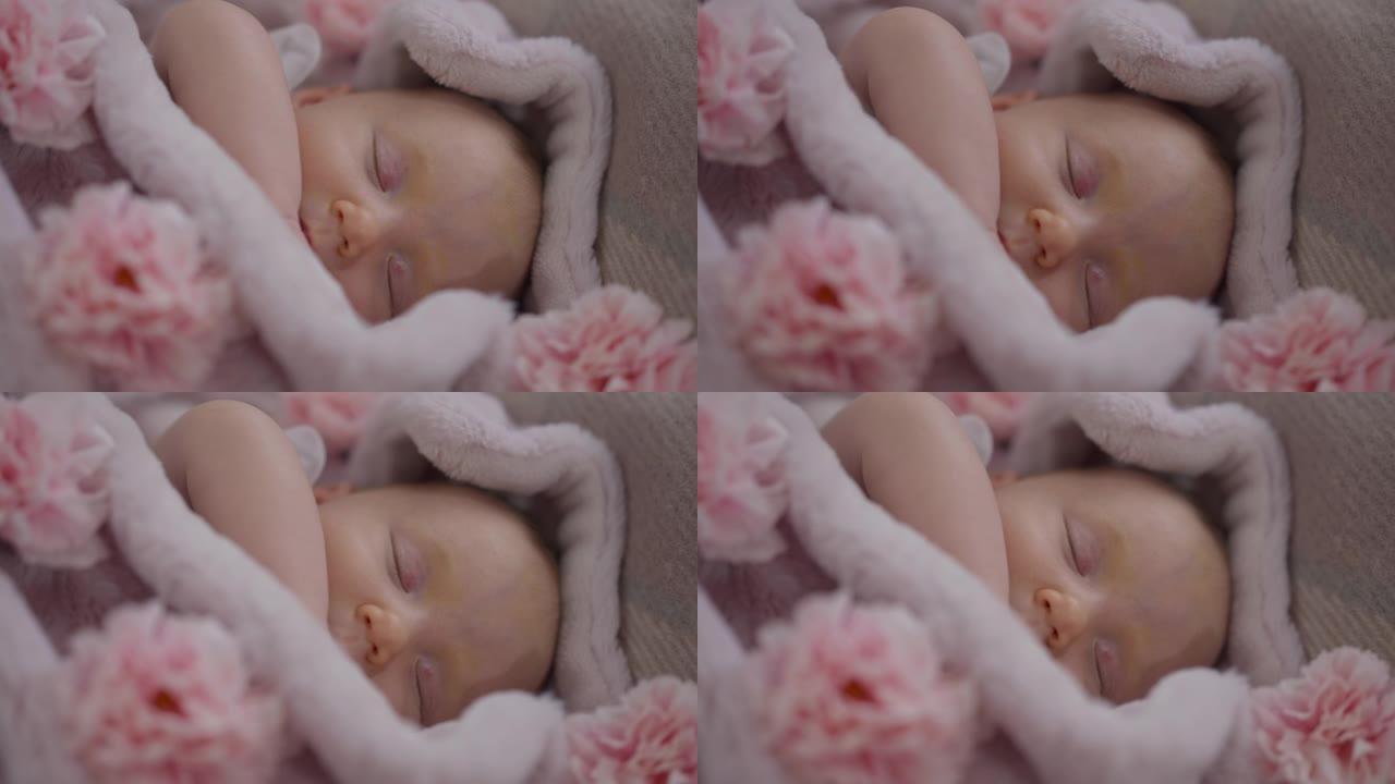 特写俯视图躺在粉红色花朵舒适的床上睡觉的女婴。可爱的高加索婴儿，闭着眼睛梦想着在家室内享受无忧无虑的