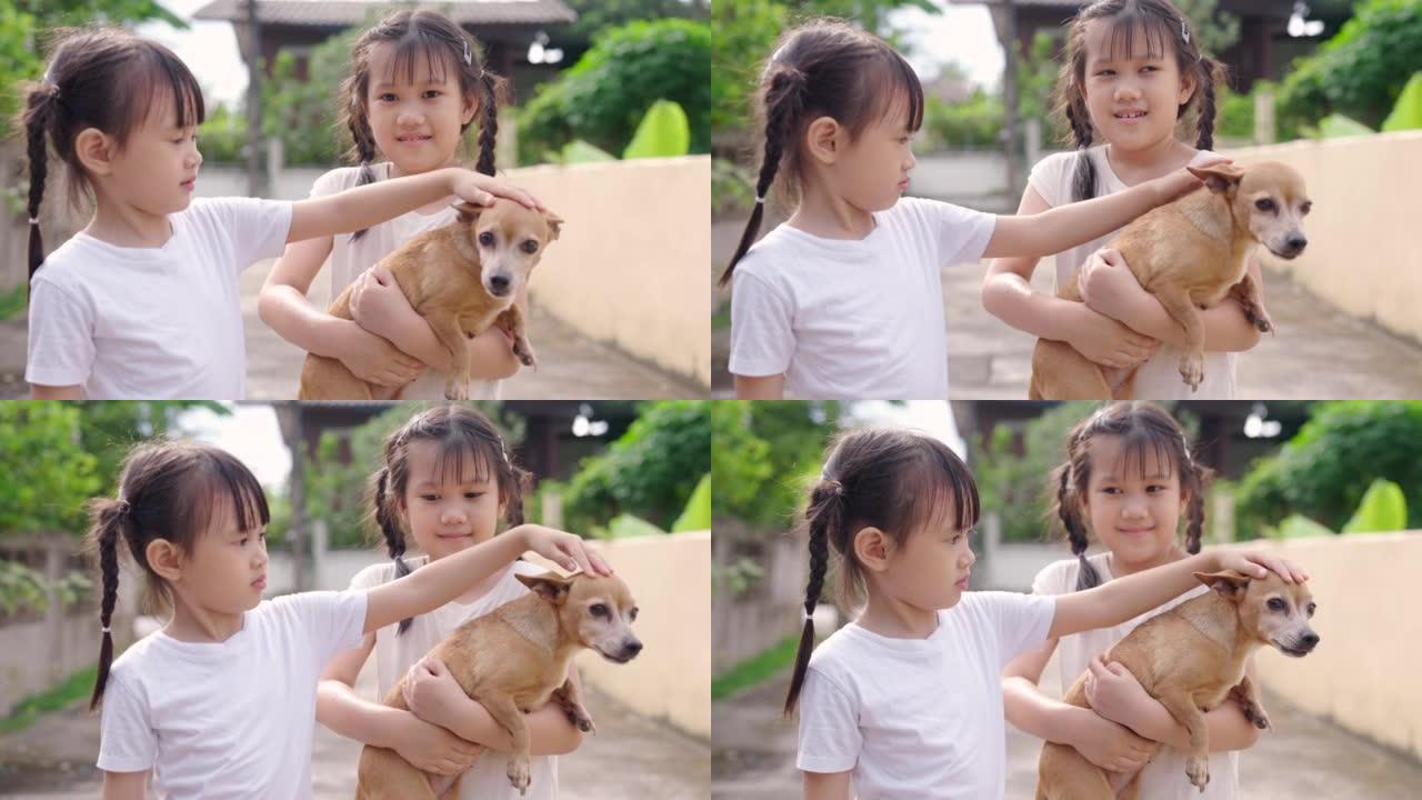亚洲儿童生活方式周末与狗在院子里玩耍。