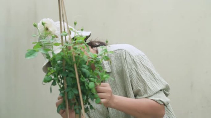 女人去除玫瑰植物的叶子