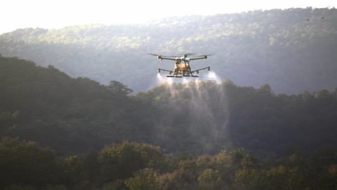 无人机在麦田上喷洒化学药品。