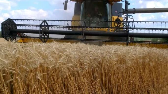 联合收割机旋转卷筒在耕地中收获小麦作物