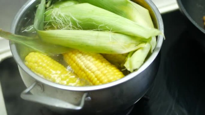 甜黄色美味的煮玉米在平底锅里煮沸。在热沸水中关闭煮沸的玉米棒。黄玉米的成熟穗在沸水中添加维生素以保持