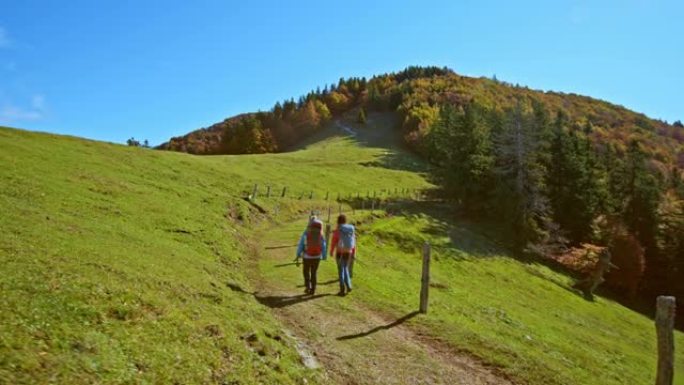CS两名徒步旅行者沿着阳光明媚的牧场在山路上行走
