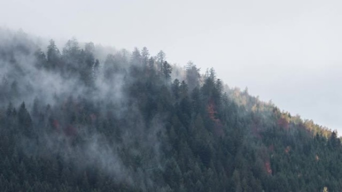 雾蒙蒙的山上彩色秋叶的延时