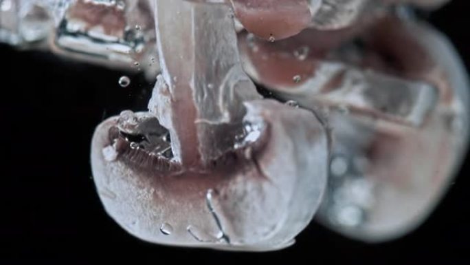 SLO MO LD切成薄片的蘑菇掉入水中