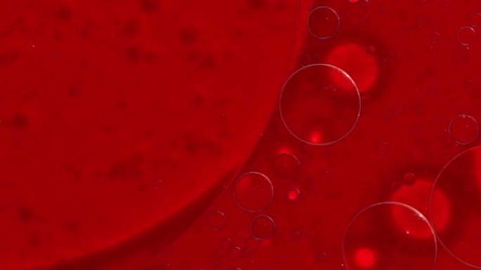 带有血液的培养皿的特写焦点。在改善DNA的药物的帮助下，开发用于治疗疾病的药物的概念。