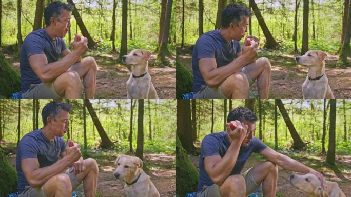 DS男子在森林里吃苹果，然后把它的一部分给他的狗