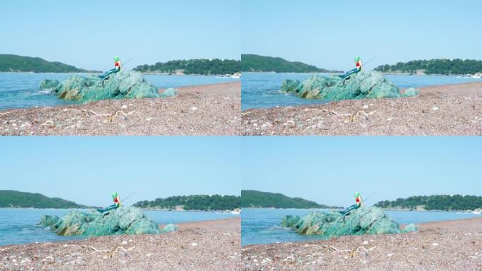 美人鱼坐在覆盖着鹅卵石的海滩上的岩石上