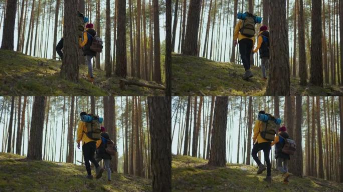美国黑人夫妇徒步旅行，带着背包在森林中徒步旅行，享受他们的冒险旅游理念。黑人男女情侣出去散步。慢动作