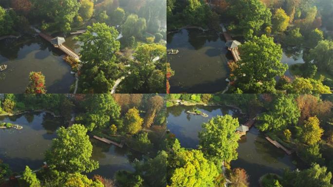 公园里被树木环绕的池塘。背景中的城市景观。秋天的无人机视图