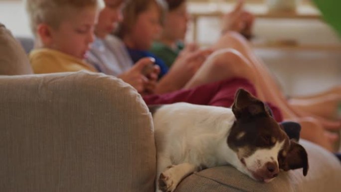 在家和昏昏欲睡的狗放松。背景中的男孩在智能手机上玩游戏
