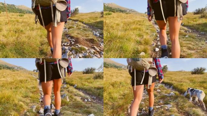 一位年轻女性的腿在山间小径上徒步旅行，她的狗在她旁边散步