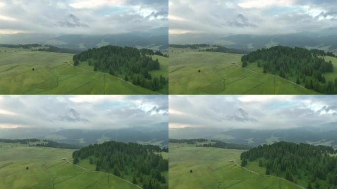阿尔佩·迪·苏伊西，多洛米蒂。意大利高山草甸山高原的空中无人机视图。南蒂罗尔田园诗般的阿尔姆山谷的日