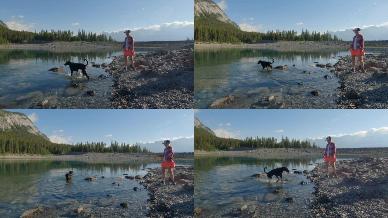 女人在山湖畔享受与peg狗的时光