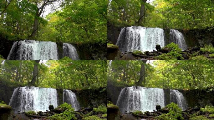 Oiraase溪流中的Choshi Otaki瀑布。十和田八幡台国立公园的森林、流动的河流、落叶、苔