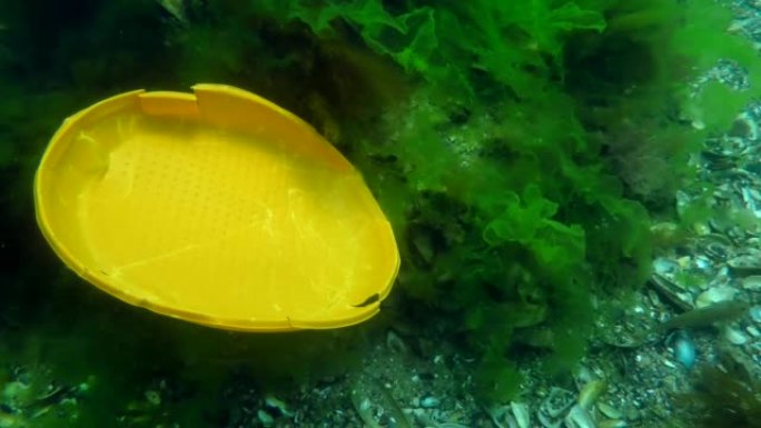 塑料污染: 一个塑料一次性盘子慢慢沉入海底。