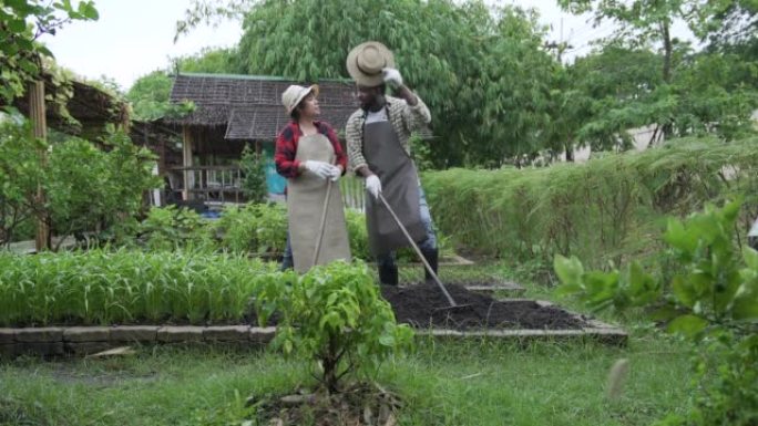 农民住在竹屋做人工栽培种植园