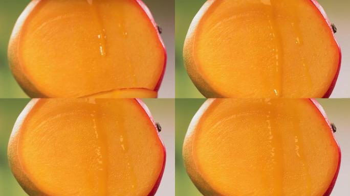 将芒果减半，果汁从旋转减半的芒果王表面流下。慢动作