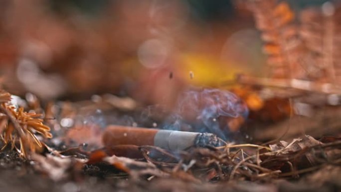 SLO MO LD香烟掉落在森林土壤上并燃烧着烟雾