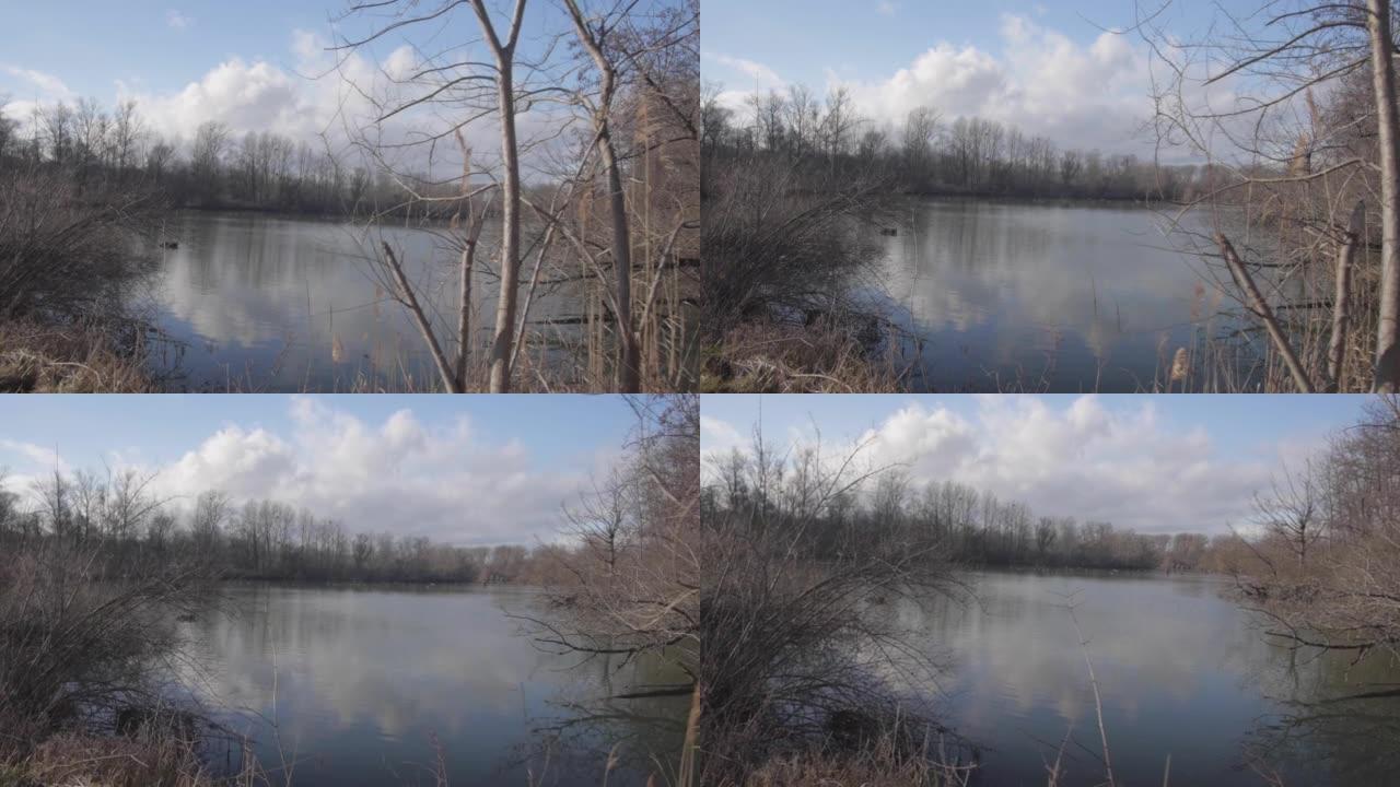 晴天看到一个有枯树的小湖