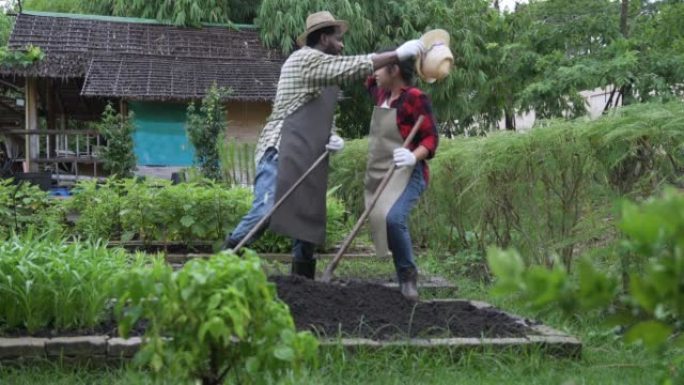 农民住在竹屋做人工栽培种植园